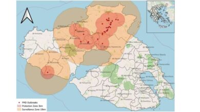 Αλυσιδωτές οι επιπτώσεις του αφθώδους πυρετού στη Μυτιλήνη: «Έχουμε χάσει τον ύπνο μας»