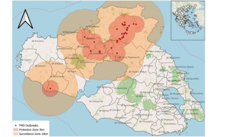 Αλυσιδωτές οι επιπτώσεις του αφθώδους πυρετού στη Μυτιλήνη: «Έχουμε χάσει τον ύπνο μας»
