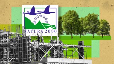 Ενα νομοσχέδιο-κερκόπορτα για τις Natura;