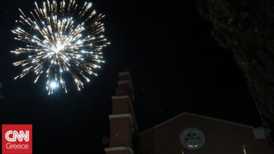 Ζώα και κροτίδες: Πώς μπορεί να ηρεμήσει κάποιος το κατοικίδιό του