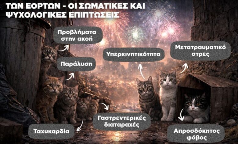 Infographic: Τα ζώα υποφέρουν από τα βεγγαλικά των εορτών – Ποιες οι επιπτώσεις Infographic: Τα ζώα υποφέρουν από τα βεγγαλικά των εορτών – Ποιες οι επιπτώσεις