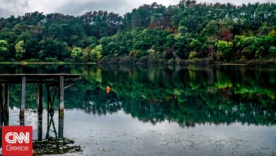 Περιοχές Natura: Τι σηματοδοτεί η έγκριση της Ειδικής Περιβαλλοντικής Μελέτης για τα Ιωάννινα