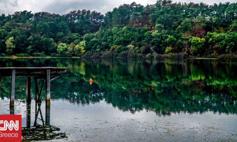 Περιοχές Natura: Τι σηματοδοτεί η έγκριση της Ειδικής Περιβαλλοντικής Μελέτης για τα Ιωάννινα