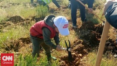 «Φύλακες της φύσης» οι μαθητές του 9ου δημοτικού σχολείου Κιλκίς – Φύτεψαν 400 πεύκα