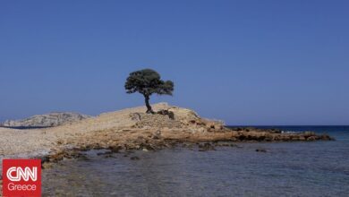 Λιβάνια Ποσειδωνίας, «πυξίδα» το Αμοργόραμα: Προεδρικό Διάταγμα για την προστασία του Αιγαίου