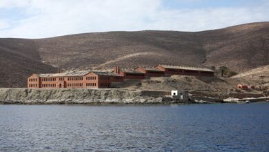 Γιατί η Γυάρος είναι από τα σημαντικότερα «hotspots» βιοποικιλότητας της Μεσογείου