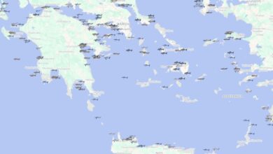 Από τα «Σαγόνια του Καρχαρία» στην πραγματικότητα: Τα είδη της Ελλάδας και η σχέση με τον άνθρωπο