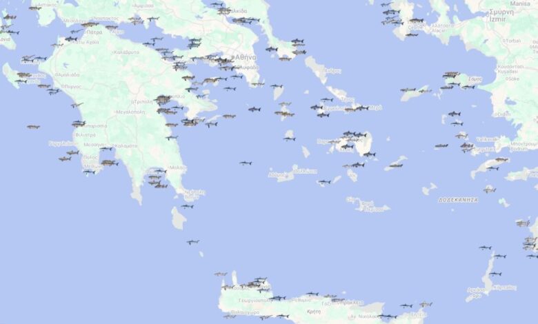 Από τα «Σαγόνια του Καρχαρία» στην πραγματικότητα: Τα είδη της Ελλάδας και η σχέση με τον άνθρωπο