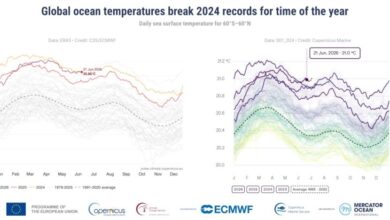 Μέχρι τον Σεπτέμβριο «επιμένει» το El Nino: «Καμπανάκι» για φαινόμενα «υψηλής έντασης»