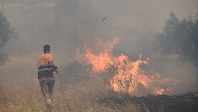 Οδηγίες προστασίας από τον καπνό και τα αιωρούμενα σωματίδια των πυρκαγιών