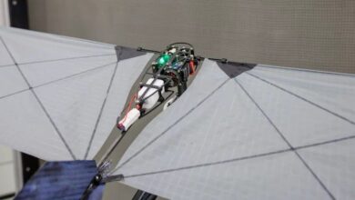 Ένα νέο είδος ρομπότ μπορεί να κολυμπάει στη θάλασσα και να πετάει στον ουρανό