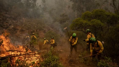 Μεγάλη πυρκαγιά στην Ανδαλουσία: Πάνω από 200.000 στρέμματα παραδόθηκαν τις φλόγες