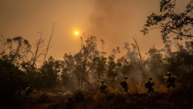 Νέο κύμα καύσωνα στην Ευρώπη – Συναγερμός για πυρκαγιές και ξηρασία