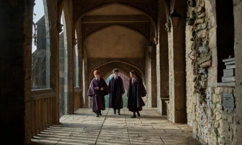 Ο Κιτ Χάρινγκτον στον νέο «Χάρι Πότερ» του HBO ως Γκίλντεροϊ Λόκχαρτ
