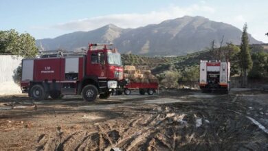 Πυρκαγιές: Η στρατηγική της επόμενης μέρας – Πρόληψη, «μωσαϊκό τοπίων» και παιδεία