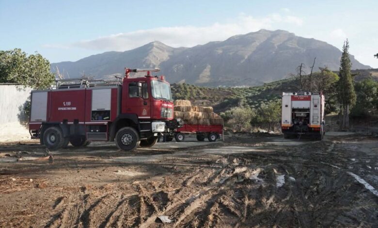 Πυρκαγιές: Η στρατηγική της επόμενης μέρας – Πρόληψη, «μωσαϊκό τοπίων» και παιδεία