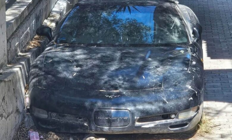 Chevrolet Corvette σαπίζει κάτω από δέντρο στην Κασσάνδρα