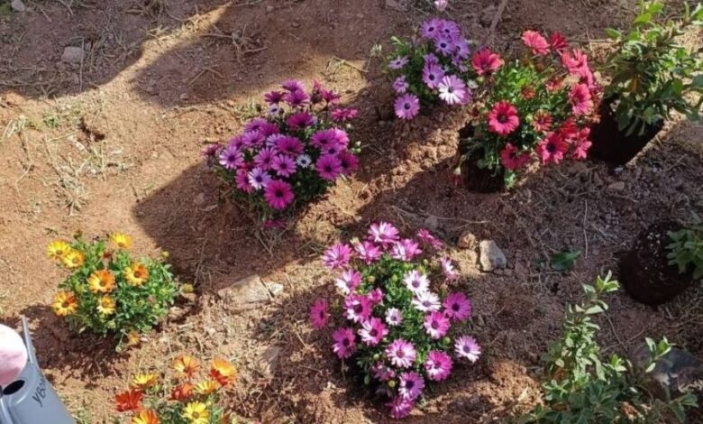 Πάνω από 40 σχολικές αυλές γίνονται πιο «πράσινες» και δροσερές στην Αθήνα