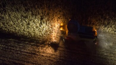 Η ζέστη άλλαξε το «ρολόι» της γεωργίας