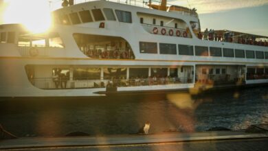 Οι γάτες αναπόσπαστο κομμάτι της καθημερινής ζωής στην Κωνσταντινούπολη: Δείτε φωτογραφίες