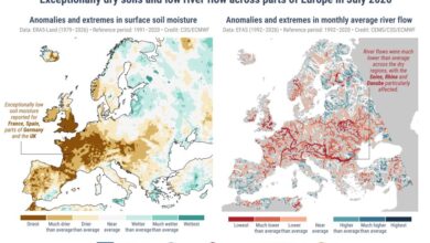 «Θαλάσσιοι καύσωνες» οδήγησαν σε ρεκόρ θερμοκρασιών τον Ιούλιο – Στους 33 βαθμούς η Μεσόγειος