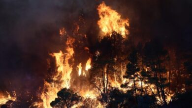Από το Μπορντό έως την Ελλάδα: Οι φωτιές αλλάζουν τον χάρτη της Ευρώπης