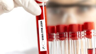 Ιός του Δυτικού Νείλου – Όλες οι πληροφορίες: Ποια κουνούπια τον μεταδίδουν και πώς θα καταλάβετε ότι έχετε νοσήσει