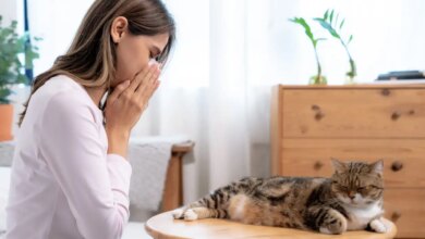 Κατοικίδια: Μύθοι και αλήθειες για τις αλλεργίες