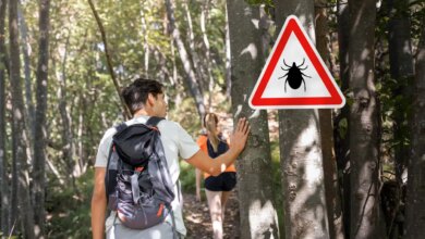 Σύνδρομο Alpha-Gal: Ανδρας απέκτησε σπάνια αλλεργία στο κόκκινο κρέας μετά από τσίμπημα από τσιμπούρι