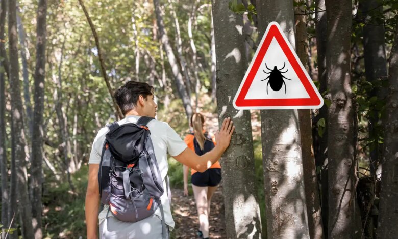 Σύνδρομο Alpha-Gal: Ανδρας απέκτησε σπάνια αλλεργία στο κόκκινο κρέας μετά από τσίμπημα από τσιμπούρι