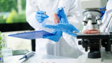 Πώς ένα επικίνδυνο βακτήριο στα κοτόπουλα εξαπλώνεται και γίνεται πιο ανθεκτικό στα αντιβιοτικά