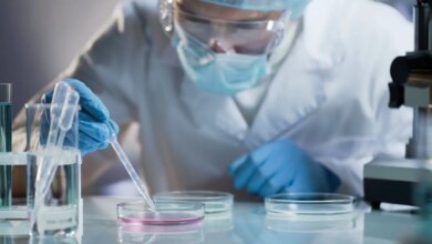 Πώς η αργινίνη βοηθά το ανοσοποιητικό να εντοπίζει καρκίνο και ιούς, σύμφωνα με νέα μελέτη