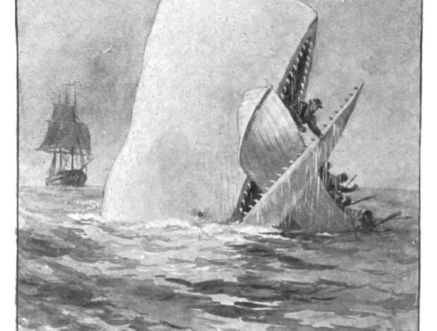 «Μόμπι Ντικ»: 175 χρόνια μετά, η φάλαινα που έγινε σύμβολο του ανθρώπινου φόβου