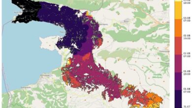 Γιατί δεν σβήνουν πια τη νύχτα οι φωτιές – Ο «κλεφτοπόλεμος» με τις φλόγες και η διαχείριση δάσους