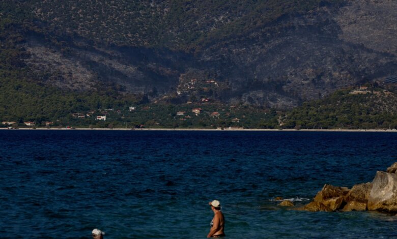 Πυρκαγιές: Καμπανάκι για καπνό και στάχτες