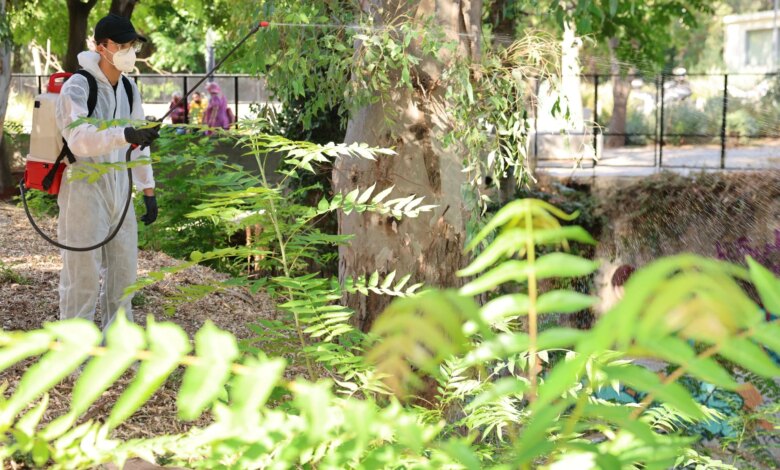 Ιός του Δυτικού Νείλου: Κορύφωση τον Σεπτέμβριο