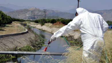 Ιός Δυτικού Νείλου: Εκτακτος ψεκασμός απόψε με «τουρμπίνες»