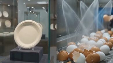 Πώς τα τσόφλια των αυγών μετατρέπονται σε εντυπωσιακά σερβίτσια