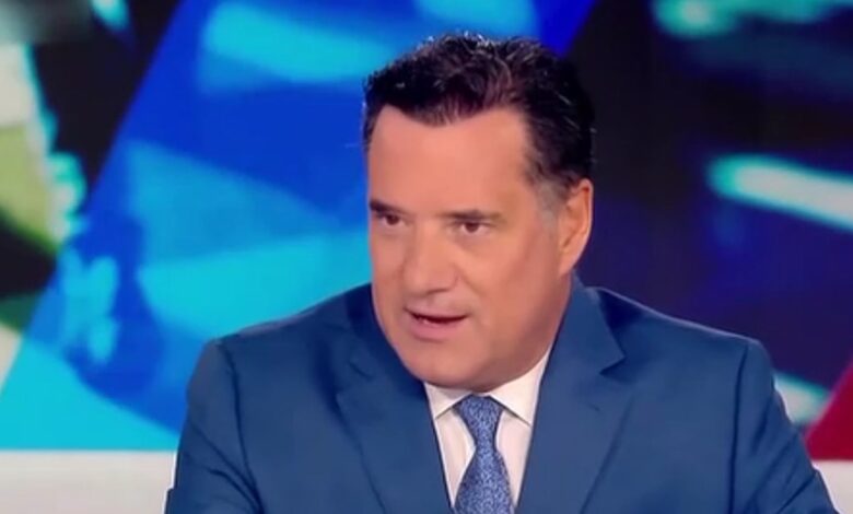 Άδωνις Γεωργιάδης: “Φώναξα στην κυρία Βούλγαρη όταν με έβριζε – Δεν έκανα… |