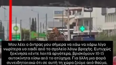 Άννα Μπεζάν για το τροχαίο στη Βουλιαγμένης: Βρισκόμουν 10 αυτοκίνητα πιο πίσω