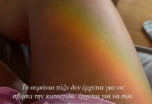 Δανάη Μπάρκα: Το αγαπησιάρικο βίντεο με τον Φάνη Μπότση και τον σκύλο τους