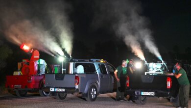Ιός Δυτικού Νείλου: 58 κρούσματα την τελευταία εβδομάδα
