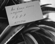 Δήμος Αναστασιάδης – Τζένη Θεωνά: Βάφτισαν τους δύο γιους τους με νονό τον Αντίνοο Αλμπάνη
