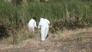 Παλαιό Φάληρο: Έκτακτοι ψεκασμοί λόγω κρούσματος ιού του Δυτικού Νείλου