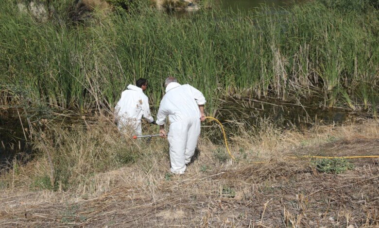Παλαιό Φάληρο: Έκτακτοι ψεκασμοί λόγω κρούσματος ιού του Δυτικού Νείλου