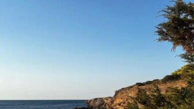 Βίκυ Σταυροπούλου: Οι φωτογραφίες που δημοσίευσε από το «Κάμπινγκ», μετά την αποκάλυψη ότι θα γίνει γιαγιά