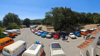 Πάνω από 80 αερόψυκτα Volkswagen κατέκλυσαν την Κεφαλονιά Πάνω από 80 αερόψυκτα Volkswagen κατέκλυσαν την Κεφαλονιά