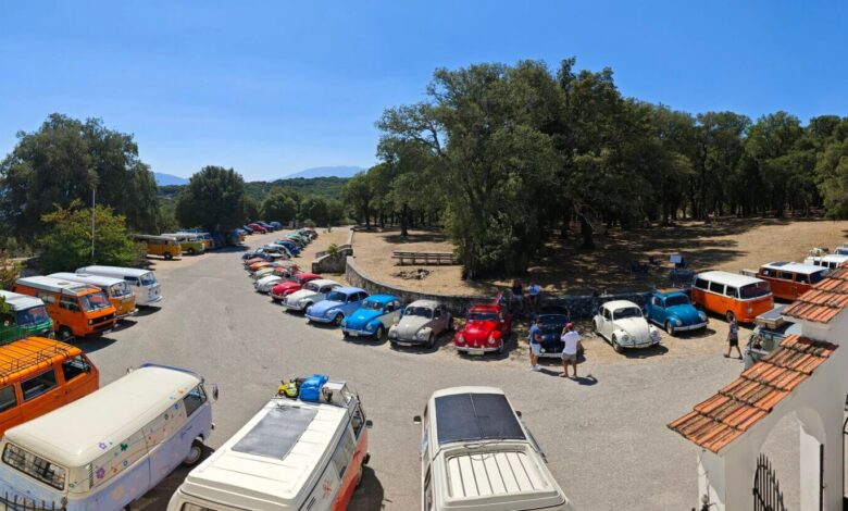 Πάνω από 80 αερόψυκτα Volkswagen κατέκλυσαν την Κεφαλονιά Πάνω από 80 αερόψυκτα Volkswagen κατέκλυσαν την Κεφαλονιά