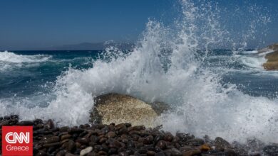 Κατατέθηκε στο ΣτΕ το σχέδιο για το Θαλάσσιο Πάρκο στο Αιγαίο – Θεσπίζονται 196 ζώνες προστασίας Κατατέθηκε στο ΣτΕ το σχέδιο για το Θαλάσσιο Πάρκο στο Αιγαίο – Θεσπίζονται 196 ζώνες προστασίας