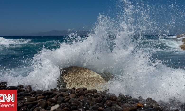 Κατατέθηκε στο ΣτΕ το σχέδιο για το Θαλάσσιο Πάρκο στο Αιγαίο – Θεσπίζονται 196 ζώνες προστασίας